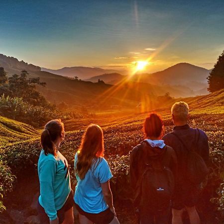 C1 Backpackers Hostel Камерон-Хайлендс Экстерьер фото